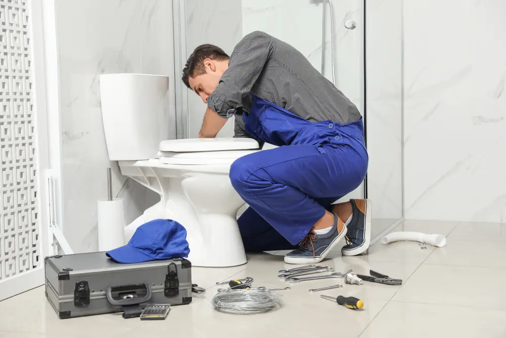 Toilet Installation in Waikele